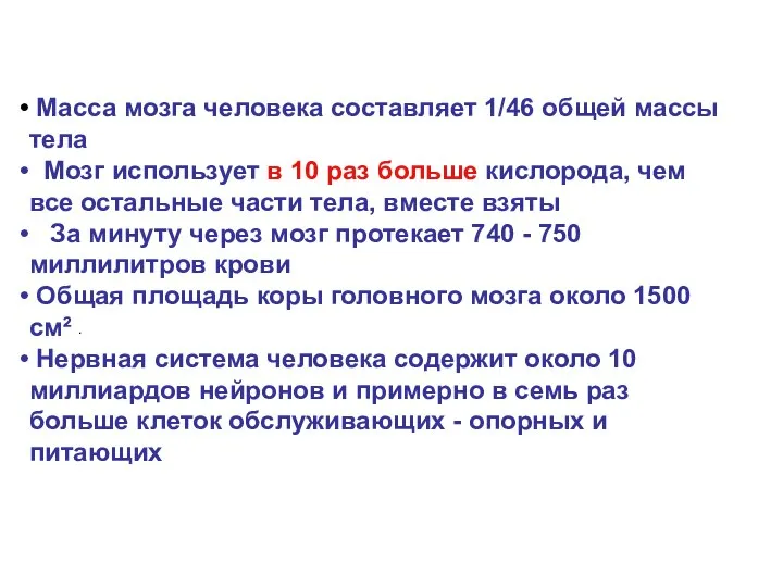 . Масса мозга человека составляет 1/46 общей массы тела Мозг использует