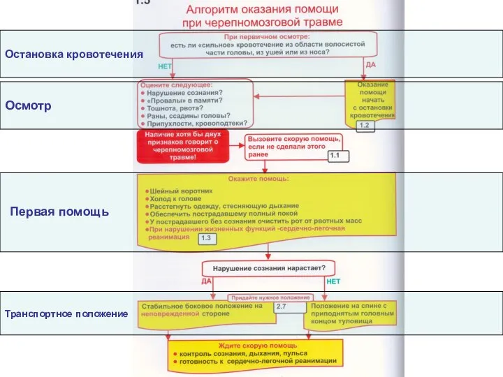 Остановка кровотечения Осмотр Транспортное положение Первая помощь