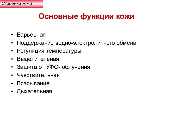 Основные функции кожи Барьерная Поддержание водно-электролитного обмена Регуляция температуры Выделительная Защита