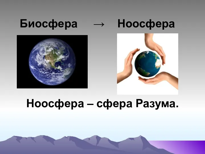 Биосфера → Ноосфера Ноосфера – сфера Разума.