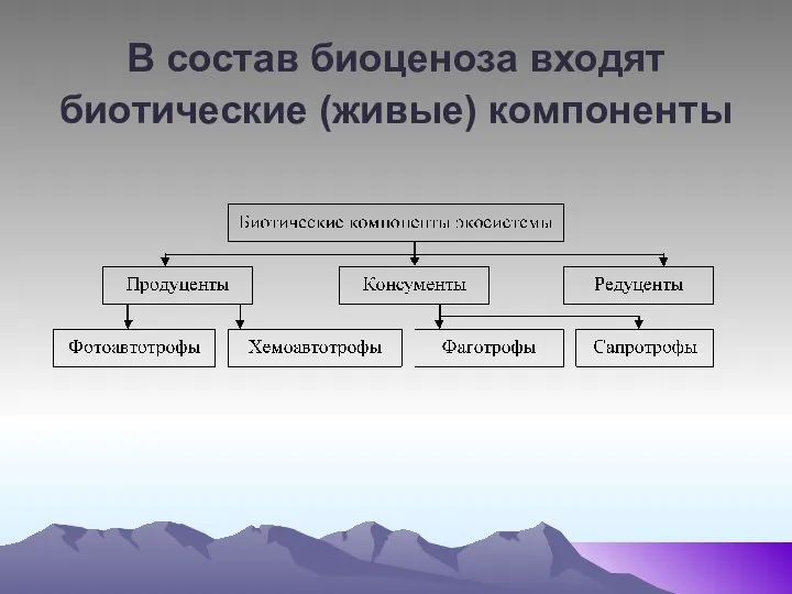 В состав биоценоза входят биотические (живые) компоненты