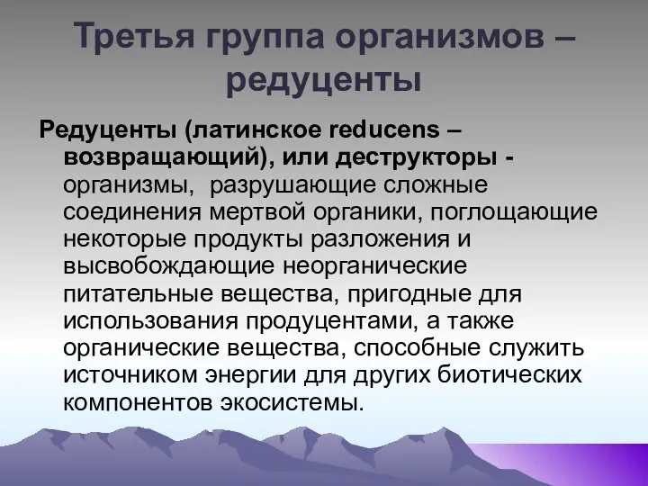 Третья группа организмов – редуценты Редуценты (латинское reducens – возвращающий), или