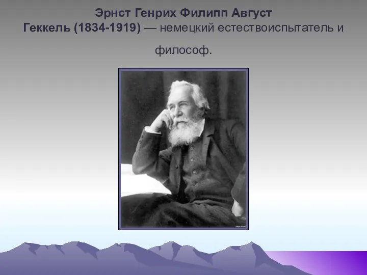 Эрнст Генрих Филипп Август Геккель (1834-1919) — немецкий естествоиспытатель и философ.