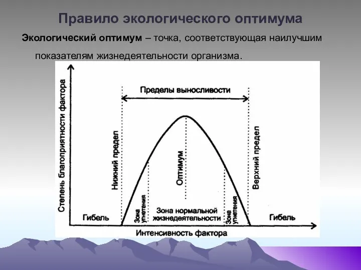 Правило экологического оптимума Экологический оптимум – точка, соответствующая наилучшим показателям жизнедеятельности организма.