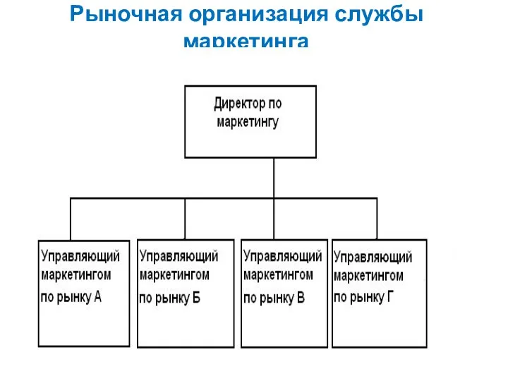 Рыночная организация службы маркетинга