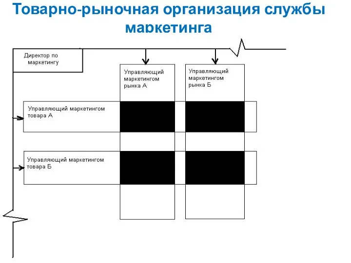 Товарно-рыночная организация службы маркетинга