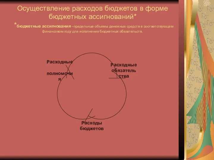 Осуществление расходов бюджетов в форме бюджетных ассигнований* *бюджетные ассигнования –предельные объемы