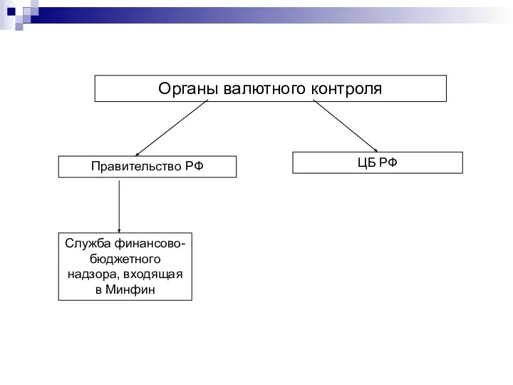Органы валютного контроля Правительство РФ ЦБ РФ Служба финансово-бюджетного надзора, входящая в Минфин