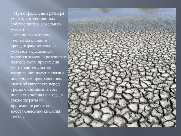 При определении размера убытков, причиненных собственникам земельных участков, землепользователям, землевладельцам и