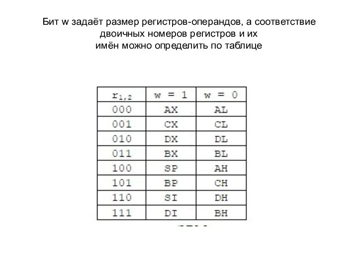 Бит w задаёт размер регистров-операндов, а соответствие двоичных номеров регистров и