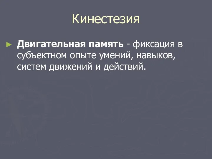 Кинестезия Двигательная память - фиксация в субъектном опыте умений, навыков, систем движений и действий.