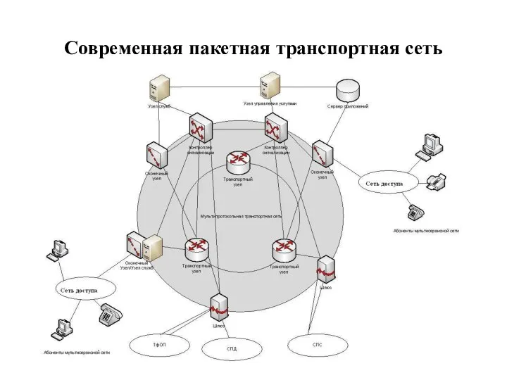 Современная пакетная транспортная сеть