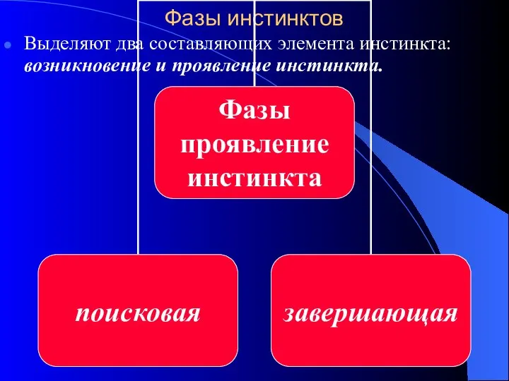 Фазы инстинктов Выделяют два составляющих элемента инстинкта: возникновение и проявление инстинкта.