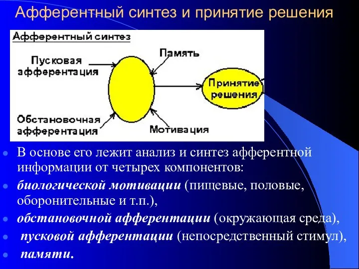 Афферентный синтез и принятие решения В основе его лежит анализ и