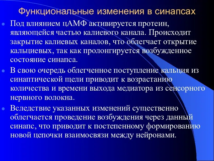 Функциональные изменения в синапсах Под влиянием цАМФ активируется протеин, являющейся частью