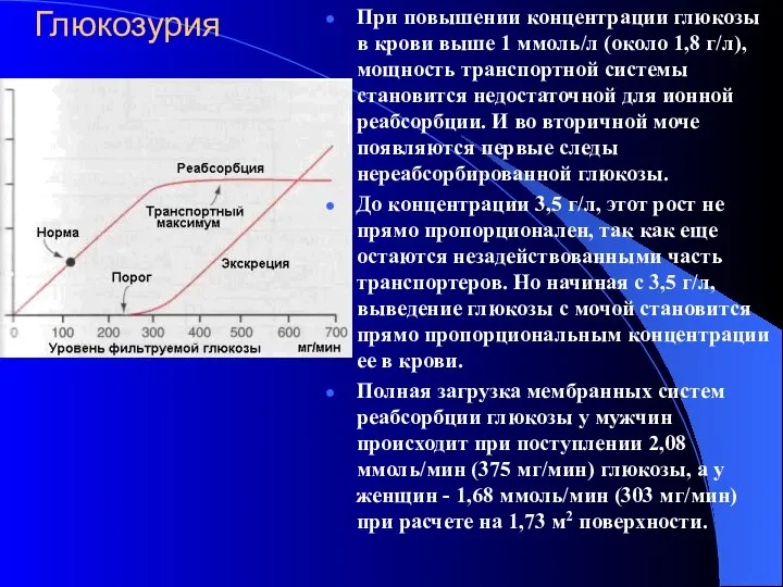 Глюкозурия При повышении концентрации глюкозы в крови выше 1 ммоль/л (около