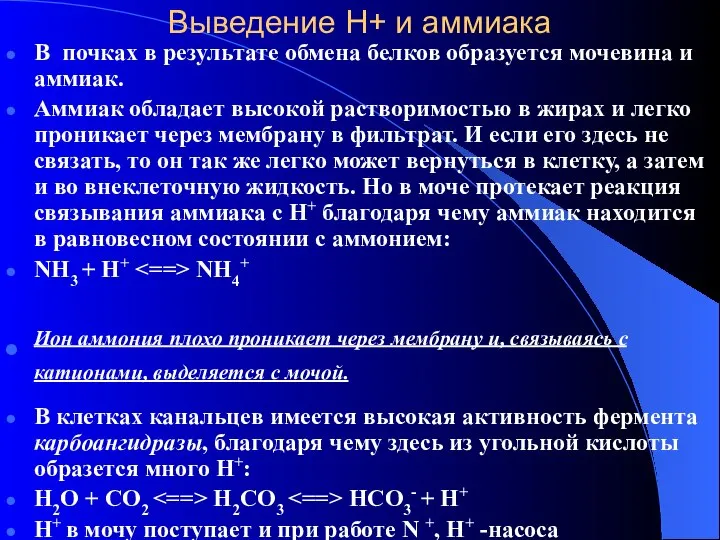 Выведение Н+ и аммиака В почках в результате обмена белков образуется