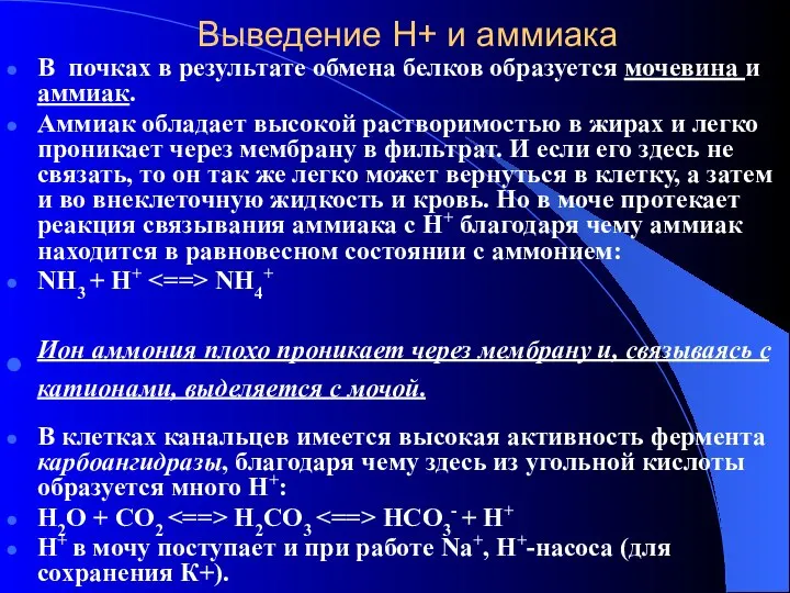 Выведение Н+ и аммиака В почках в результате обмена белков образуется