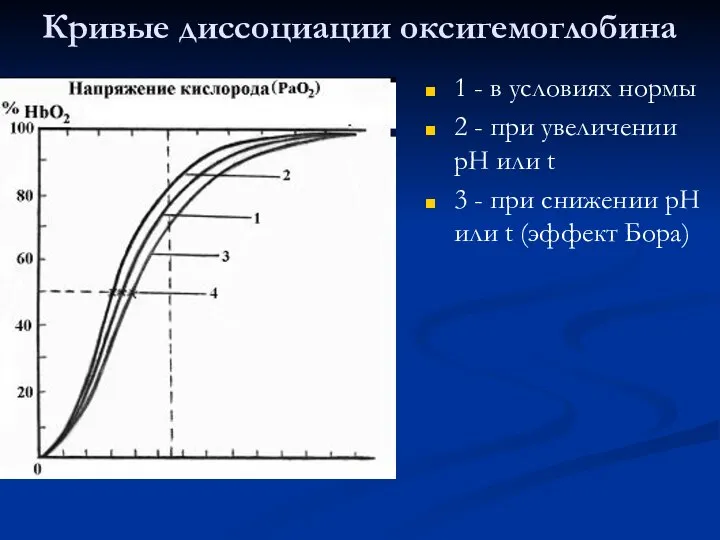 Кривые диссоциации оксигемоглобина 1 - в условиях нормы 2 - при