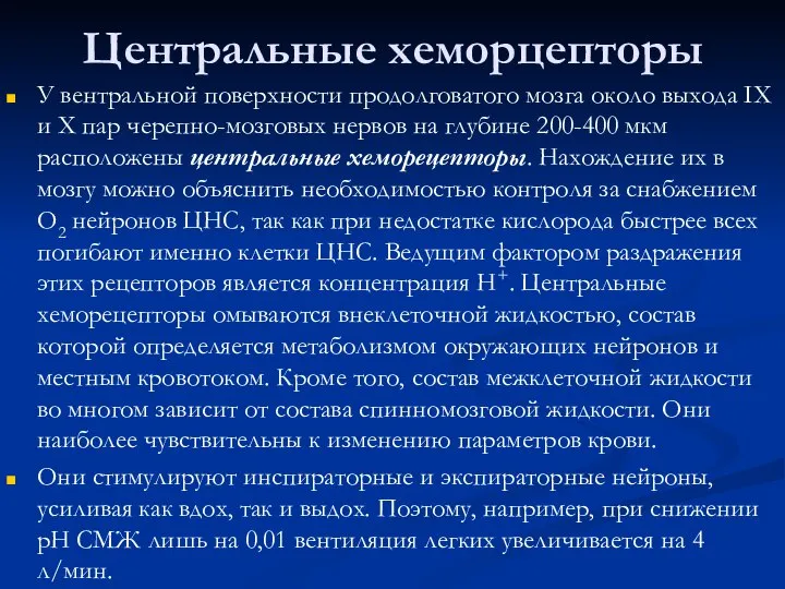 Центральные хеморцепторы У вентральной поверхности продолговатого мозга около выхода IХ и