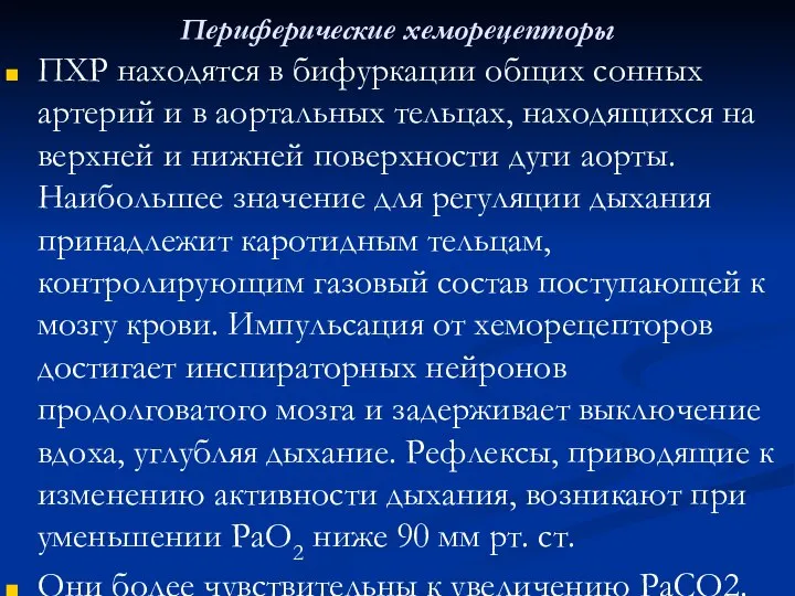 Периферические хеморецепторы ПХР находятся в бифуркации общих сонных артерий и в