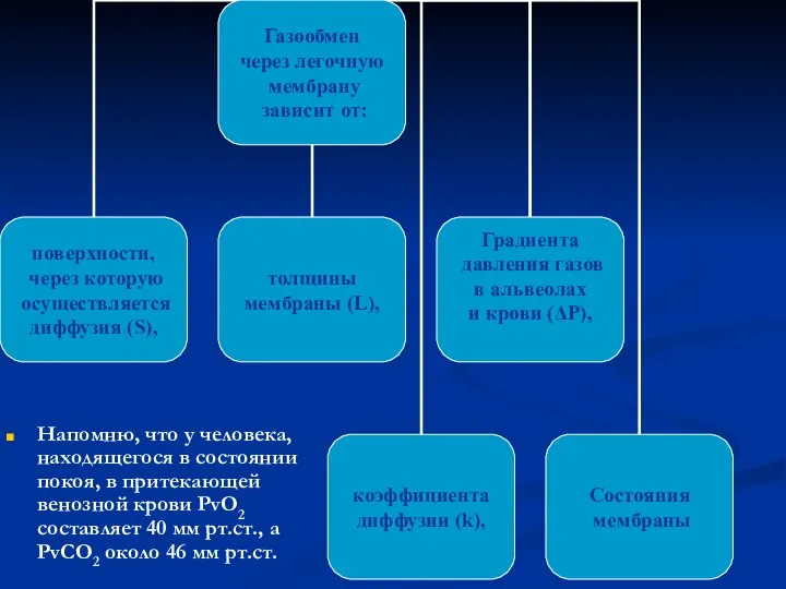 Напомню, что у человека, находящегося в состоянии покоя, в притекающей венозной