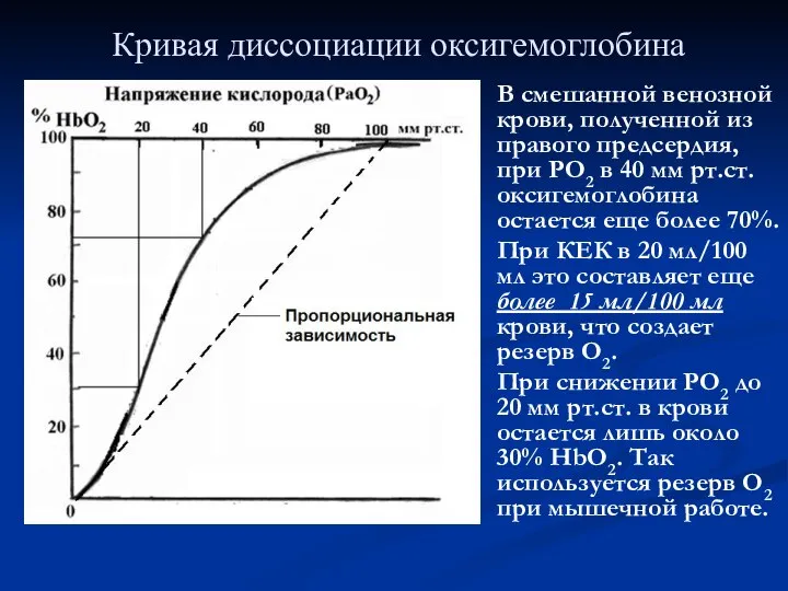 Кривая диссоциации оксигемоглобина В смешанной венозной крови, полученной из правого предсердия,