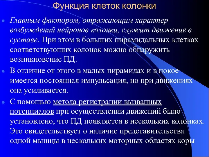 Функция клеток колонки Главным фактором, отражающим характер возбуждений нейронов колонки, служит