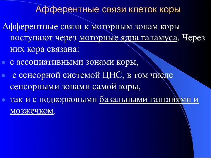 Афферентные связи клеток коры Афферентные связи к моторным зонам коры поступают