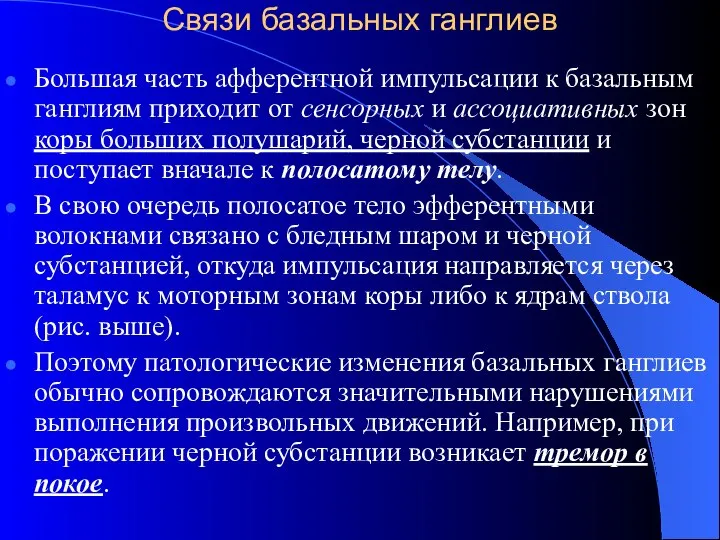 Связи базальных ганглиев Большая часть афферентной импульсации к базальным ганглиям приходит