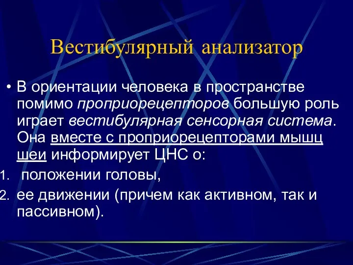 Вестибулярный анализатор В ориентации человека в пространстве помимо проприорецепторов большую роль