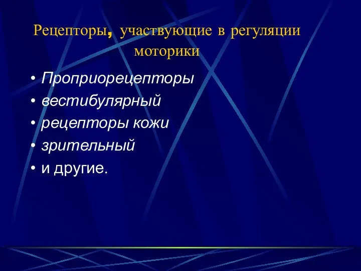 Рецепторы, участвующие в регуляции моторики Проприорецепторы вестибулярный рецепторы кожи зрительный и другие.