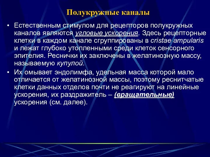 Полукружные каналы Естественным стимулом для рецепторов полукружных каналов являются угловые ускорения.