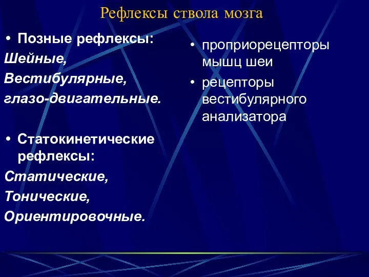 Рефлексы ствола мозга Позные рефлексы: Шейные, Вестибулярные, глазо-двигательные. Статокинетические рефлексы: Статические,