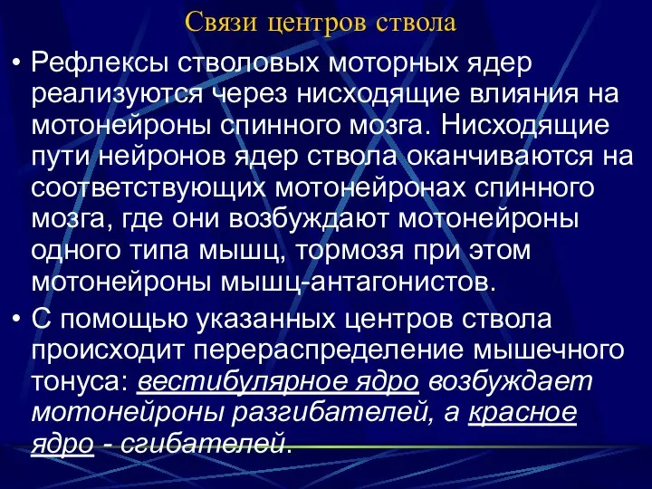 Связи центров ствола Рефлексы стволовых моторных ядер реализуются через нисходящие влияния