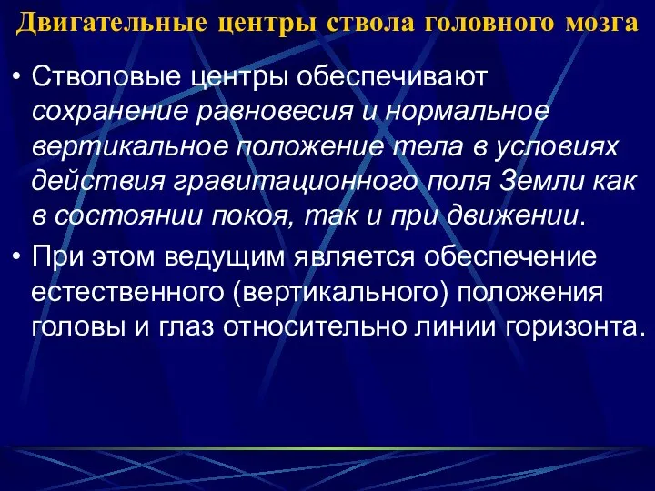 Двигательные центры ствола головного мозга Стволовые центры обеспечивают сохранение равновесия и