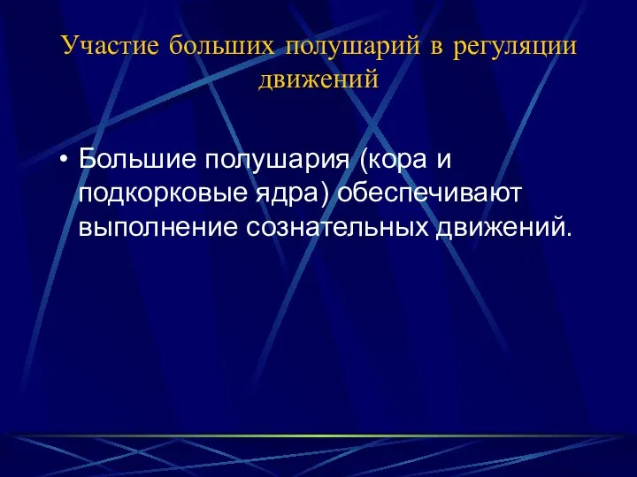 Участие больших полушарий в регуляции движений Большие полушария (кора и подкорковые ядра) обеспечивают выполнение сознательных движений.