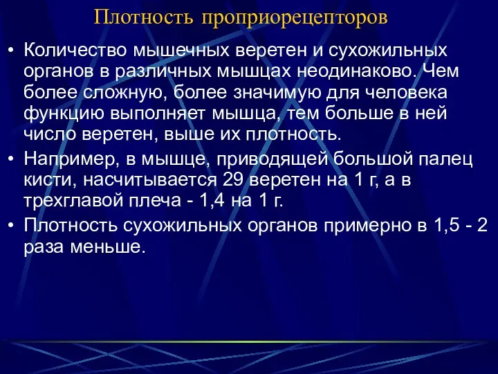 Плотность проприорецепторов Количество мышечных веретен и сухожильных органов в различных мышцах