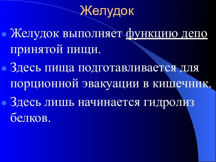 Желудок Желудок выполняет функцию депо принятой пищи. Здесь пища подготавливается для