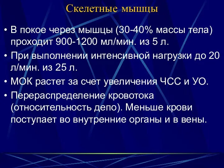 Скелетные мышцы В покое через мышцы (30-40% массы тела) проходит 900-1200