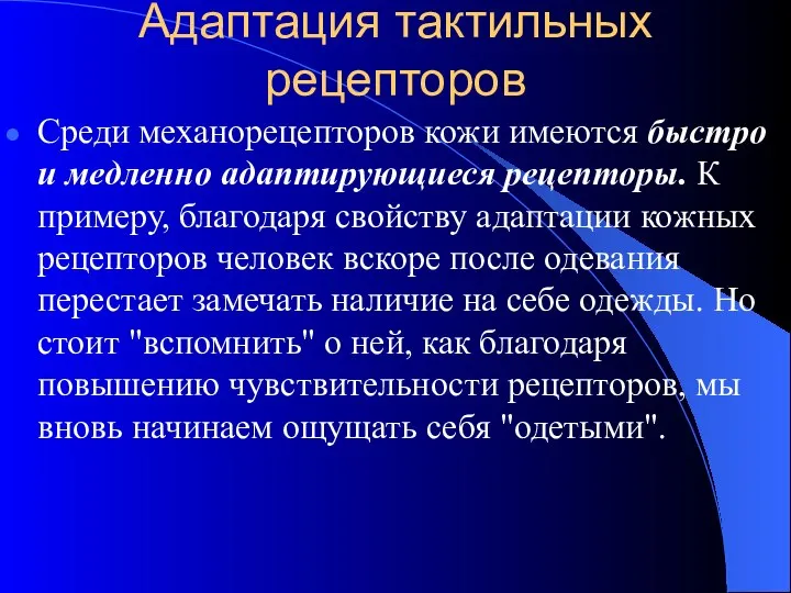 Адаптация тактильных рецепторов Среди механорецепторов кожи имеются быстро и медленно адаптирующиеся