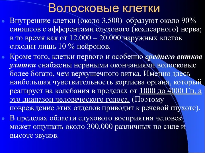 Волосковые клетки Внутренние клетки (около 3.500) образуют около 90% синапсов с