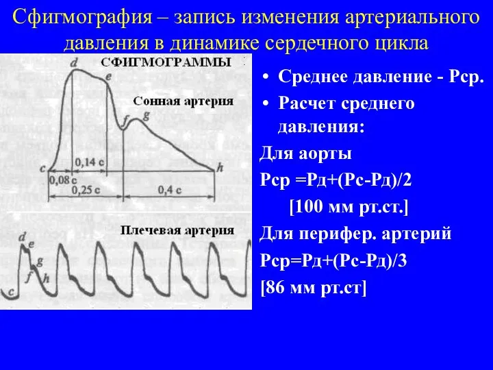 Сфигмография – запись изменения артериального давления в динамике сердечного цикла Среднее