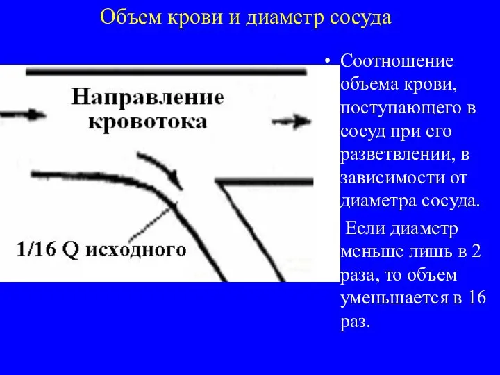 Объем крови и диаметр сосуда Соотношение объема крови, поступающего в сосуд