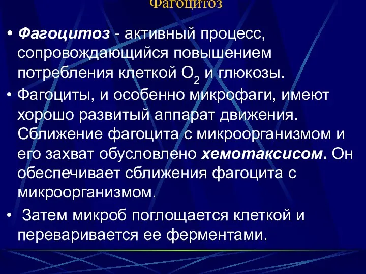 Фагоцитоз Фагоцитоз - активный процесс, сопровождающийся повышением потребления клеткой О2 и