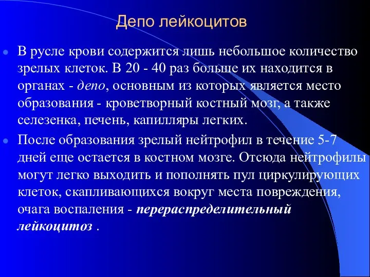 Депо лейкоцитов В русле крови содержится лишь небольшое количество зрелых клеток.