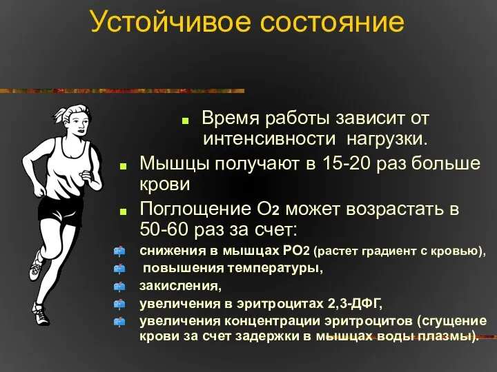 Устойчивое состояние Время работы зависит от интенсивности нагрузки. Мышцы получают в