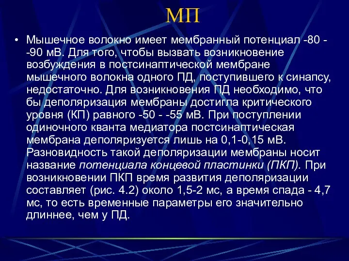 МП Мышечное волокно имеет мембранный потенциал -80 - -90 мВ. Для