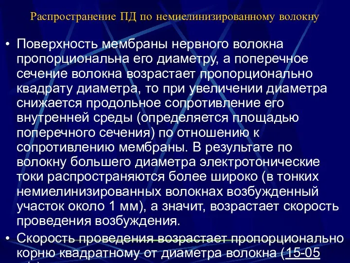 Распространение ПД по немиелинизированному волокну Поверхность мембраны нервного волокна пропорциональна его