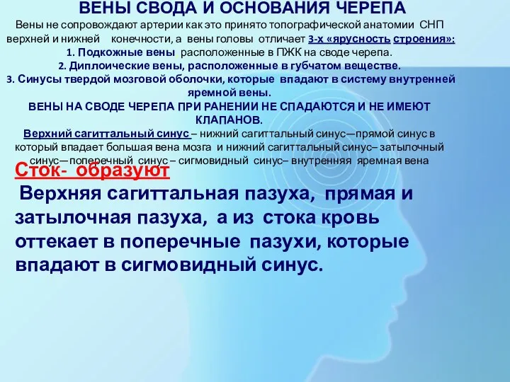 ВЕНЫ СВОДА И ОСНОВАНИЯ ЧЕРЕПА Вены не сопровождают артерии как это